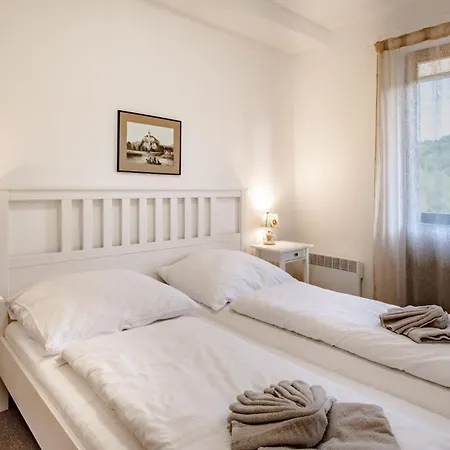 Hotel Svycarsky Dum Sneznik